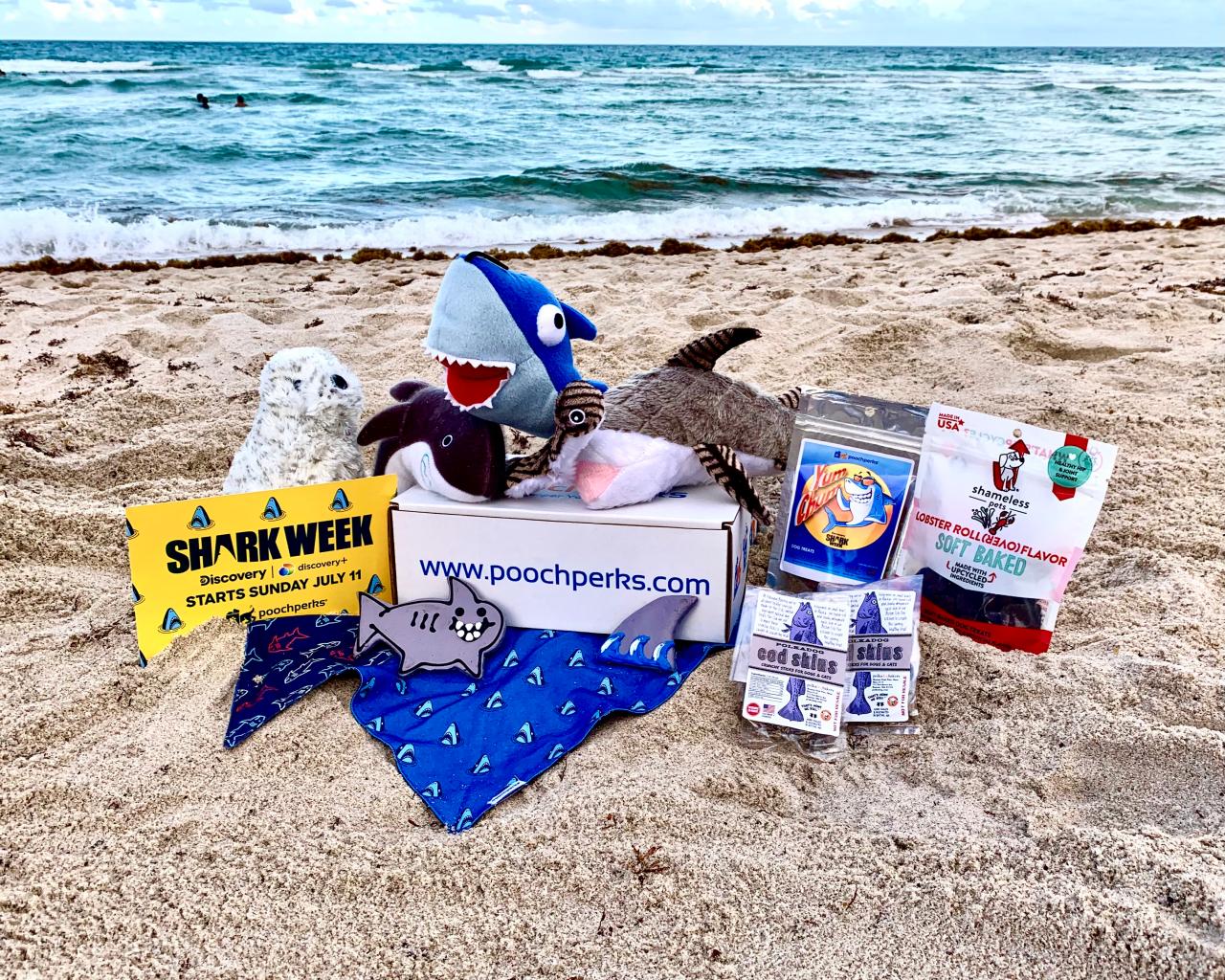 Shark week outlet 2020 merchandise